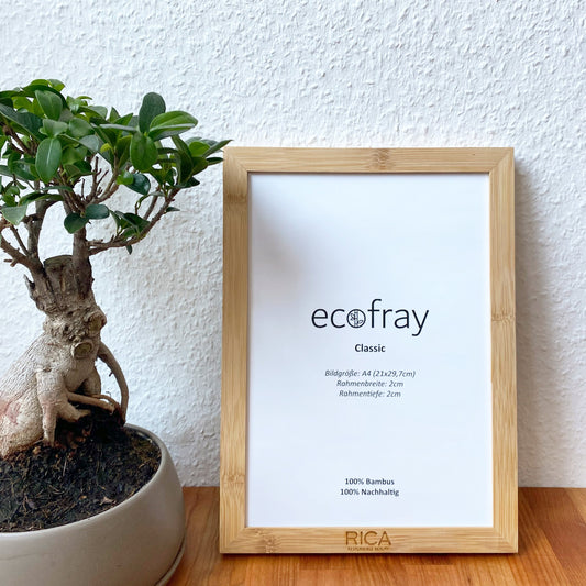 Personalisierter Bilderrahmen mit Logo-Gravur eines Unternehmens neben einer grünen Zimmerpflanze