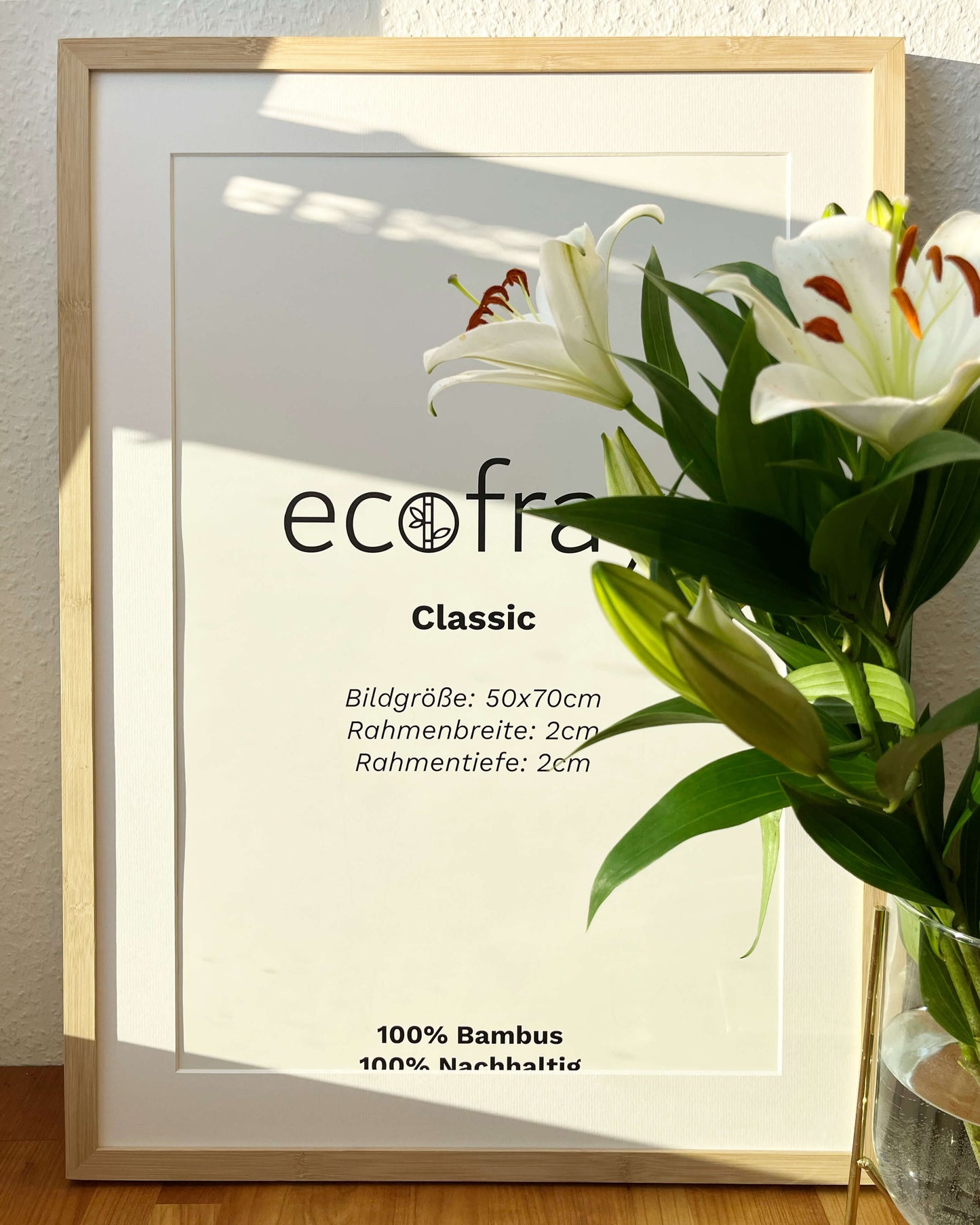 Ecofray Classic