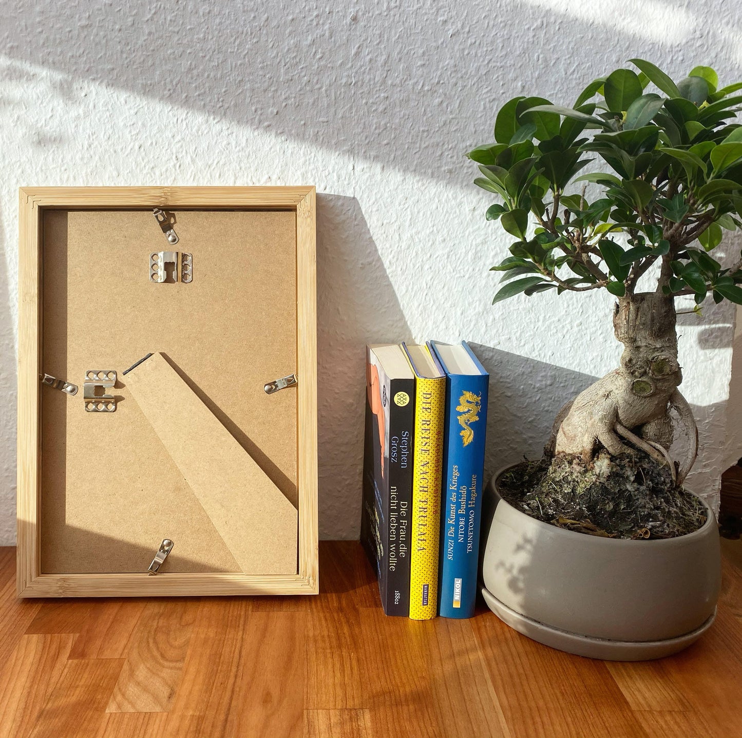 Ecofray Classic