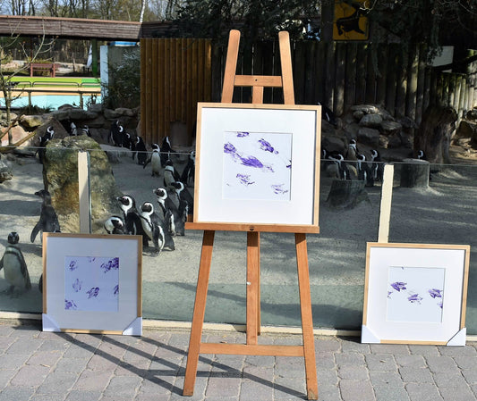 Drei Kunstwerke in nachhaltigem und quadratischem Bilderrahmen Bambus vor dem Pinguingehege