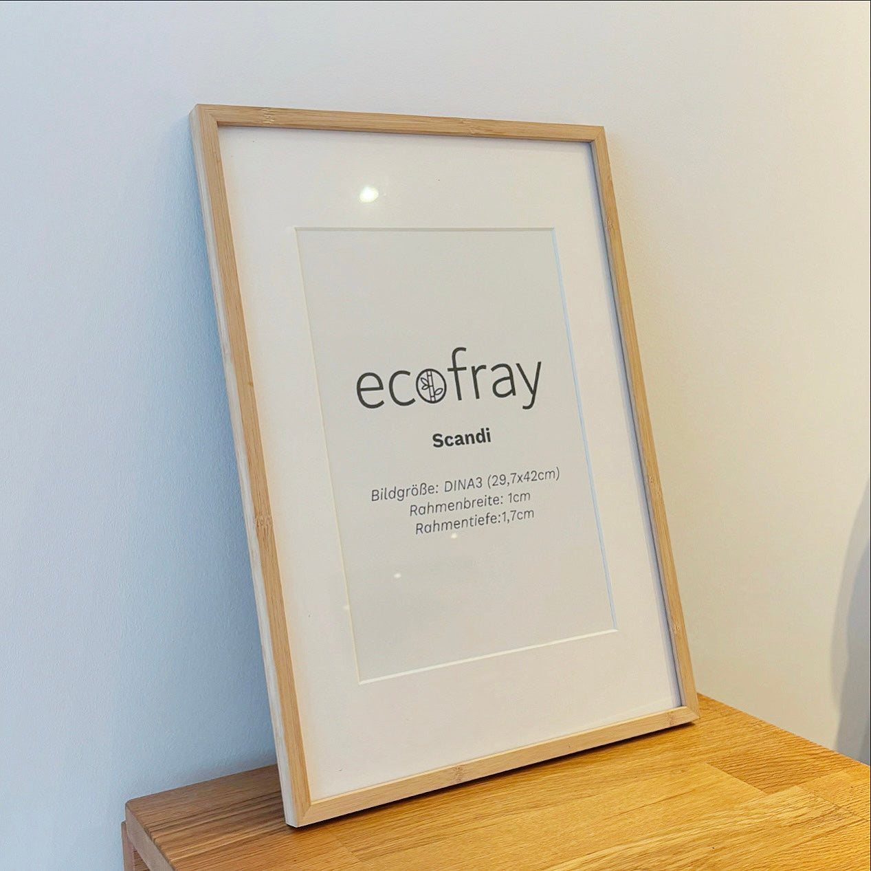 Ecofray Scandi